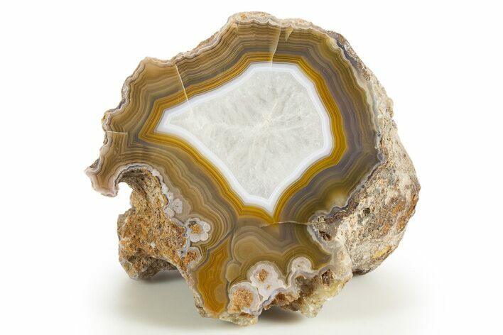 Polished Banded Laguna Agate Half - Mexico #323883